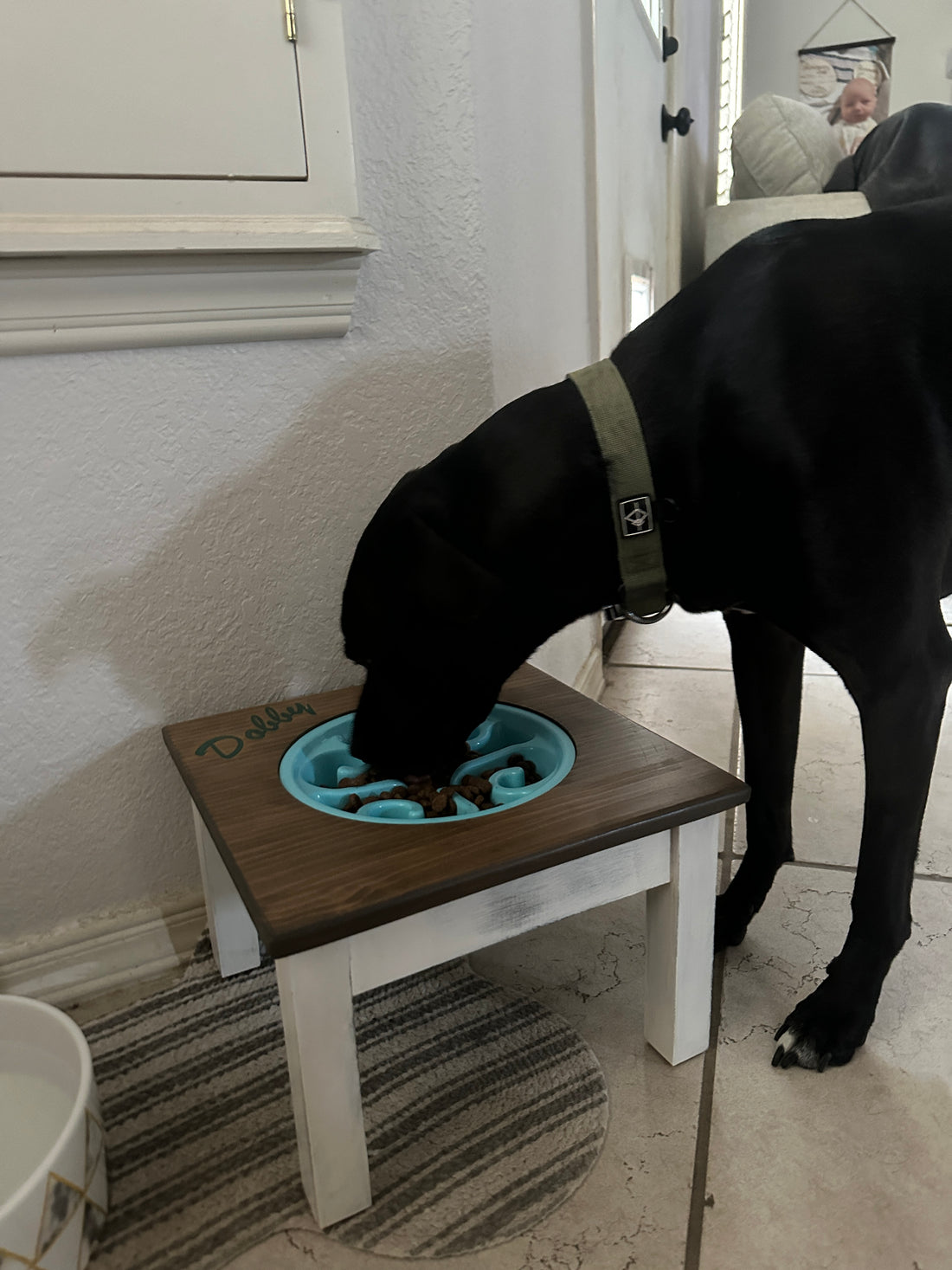 Benefits of Elevated Dog Feeders